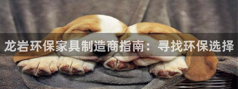 杏耀3代理