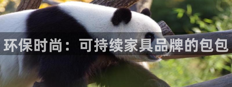 杏耀平台网站是什么