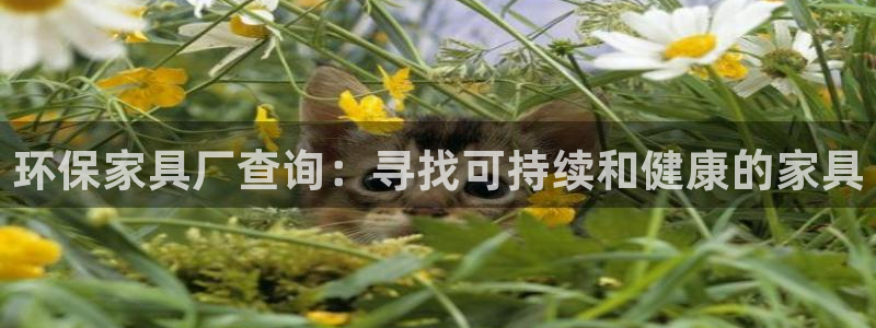 杏耀平台服务中心电话号码