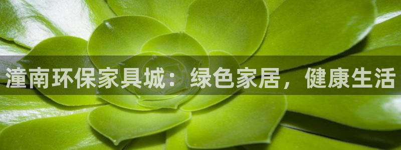 杏耀主管qq