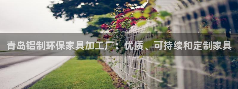 杏耀平台的专用通道