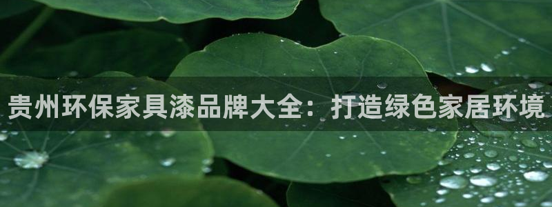 杏耀平台注册问一问：贵州环保家具漆品牌大全：打造绿色家居环境