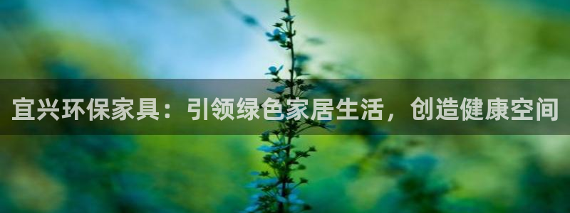 杏耀登陆