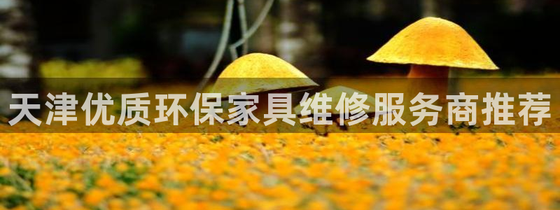 杏耀平台没有了