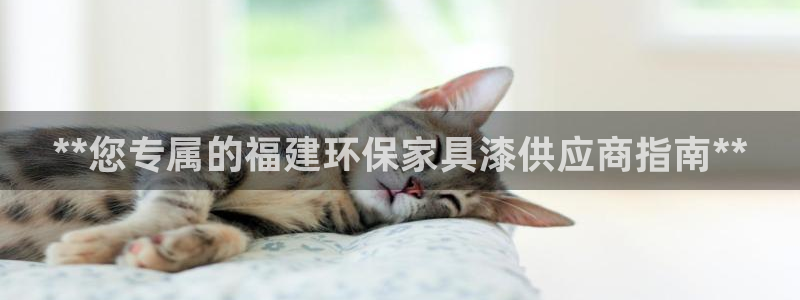 杏耀3注册：**您专属的福建环保家具漆供应商指南**
