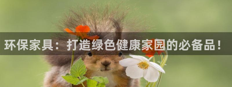 杏耀平台手机app：环保家具：打造绿色健康家园的必备品！