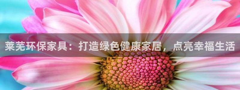 杏耀代理连接：莱芜环保家具：打造绿色健康家居，点亮幸福生活