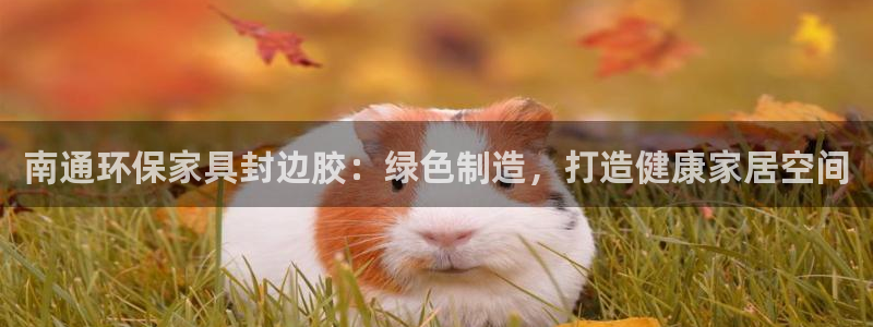 杏耀平台官网下载