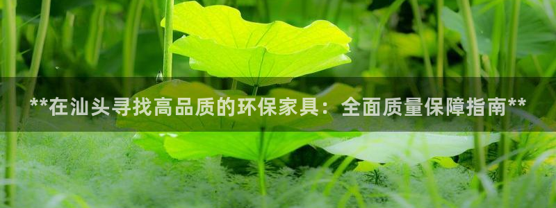 杏耀官网游戏：**在汕头寻找高品质的环保家具：全面质量保障指