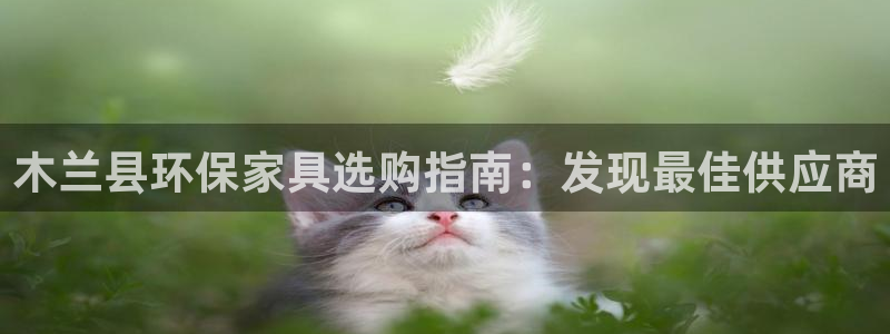 杏耀登入测速：木兰县环保家具选购指南：发现最佳供应商