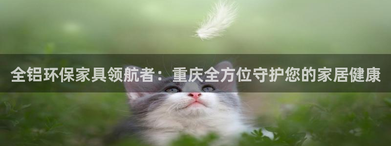 杏耀平台的专用通道：全铝环保家具领航者：重庆全方位守护您的家