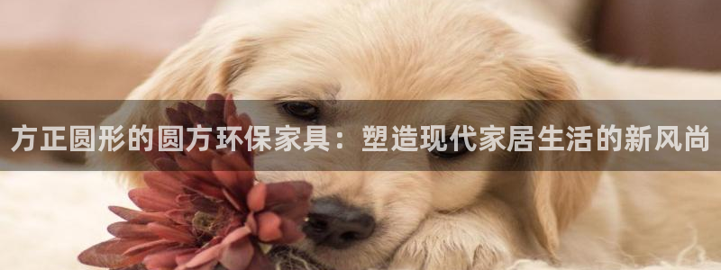 杏耀平台代理怎么赚钱的：方正圆形的圆方环保家具：塑造现代家居