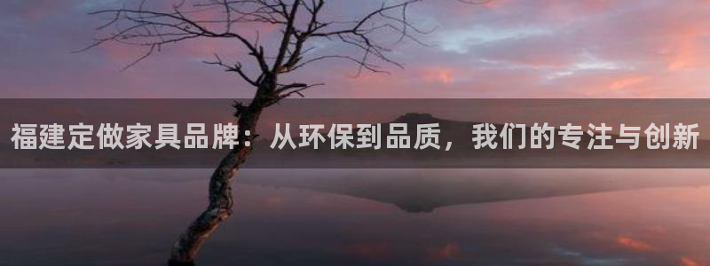 杏耀平台首页登录：福建定做家具品牌：从环保到品质，我们的专注