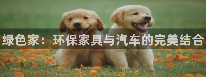 杏耀平台官方网站下载：绿色家：环保家具与汽车的完美结合