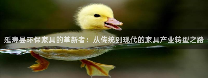 杏耀平台线路测速：延寿县环保家具的革新者：从传统到现代的家具