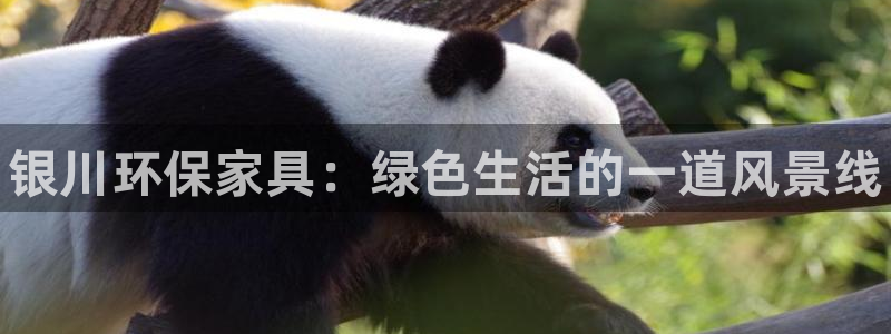 杏耀官网注册地址：银川环保家具：绿色生活的一道风景线