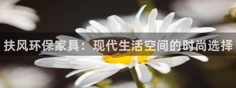 杏耀平台的专用通道：扶风环保家具：现代生活空间的时尚选择